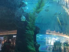 -鸿通城购物中心