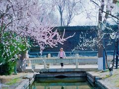 -三里河公园