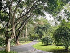 -中国科学院西双版纳热带植物园