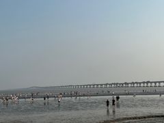 -南汇嘴观海公园