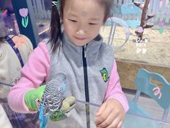 -怪兽屋·羊驼·猫咖·狗咖(俊华广场店)