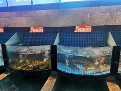 水产区-野山舂·贵州现舂酸汤牛肉(民生路店)