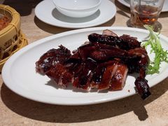 -佬肥猫(七宝宝龙店)