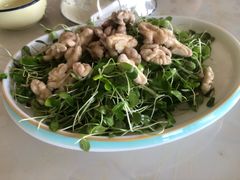 拌香椿苗-相聚青山餐厅(阎河路店)