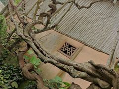 -海南槟榔谷黎苗文化旅游区