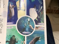 -秦皇岛新澳海底世界