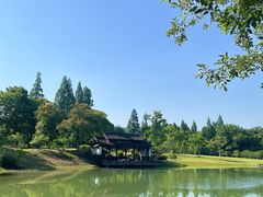 -杭州植物园