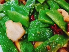 -金孔雀温泉旅游度假村