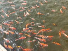 -河北省园博园