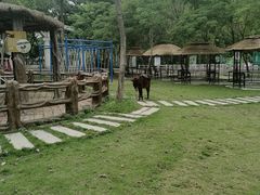 -丹樱生态园