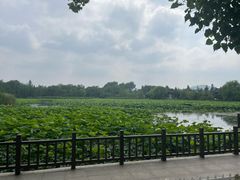 -云龙湖旅游景区