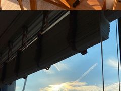-猫小主咖啡·猫咖cat cafe(福田店)
