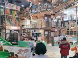 -卡通尼·Safari非洲探索乐园·生日会(金桥国际商业广场店)
