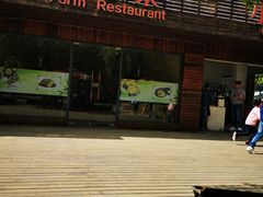 -上海海湾国家森林公园