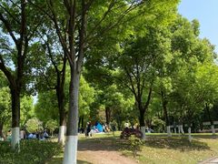 -重庆彩云湖湿地公园