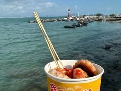 -三亚西岛海洋文化旅游区