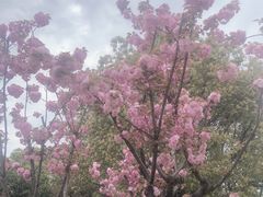 -范蠡湖公园