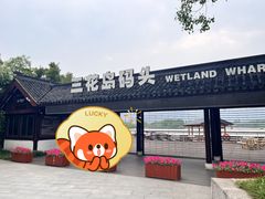 -长田漾湿地公园