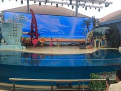 -三亚海昌梦幻海洋不夜城