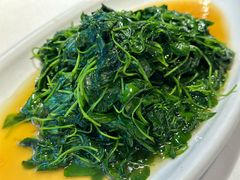 清炒金花菜-天福苑(崇宁路店)