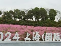 -春花秋色城市公园