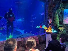 -沈阳海洋探索中心