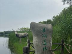 -溱湖国家湿地公园