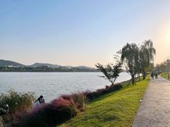 -羊山湖公园