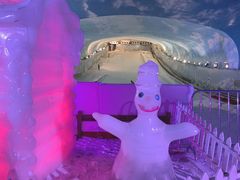 -世界之窗阿尔卑斯冰雪世界