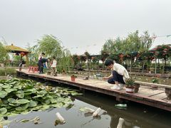 -同銮特种养殖场·龙虾垂钓