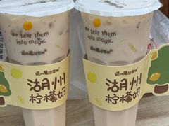 -猫的魔法密林(衣裳街店)