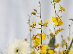 -花到家(富贵鸟花艺行)