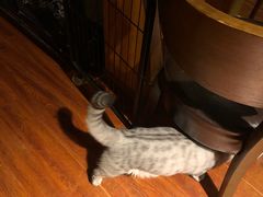 -H立方实景剧情密室(天河旗舰店)