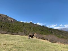 -硗碛藏寨·神木垒景区