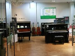 -柏斯琴行(汾阳店)