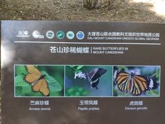 -蝴蝶泉公园