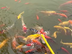 -祥源·阜阳生态乐园