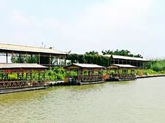 -泗洪洪泽湖湿地景区