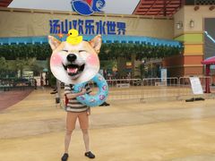 -汤山欢乐水世界