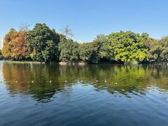 -荔湾湖公园