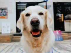 -小意思咖啡店(草桥店)