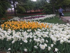 -石家庄市植物园