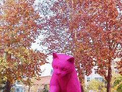 -西安电影制片厂