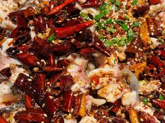-三猫黑鱼花(南大店)