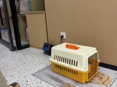 -瑞派康怡24h宠物医院·犬猫医疗中心·微创绝育(瑞景分院)