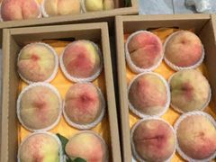 -老袁家蜜桃农场·阳山水蜜桃