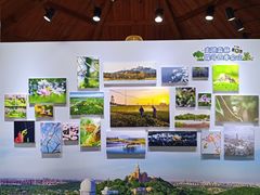 -上海佘山国家森林公园西佘山园