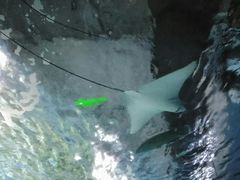 -常州海昌海洋探索馆