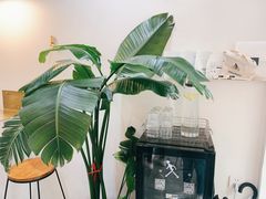 -常识咖啡common sense(春熙路店)