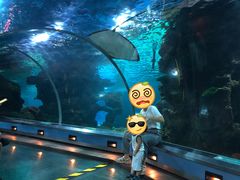-石家庄海洋公园